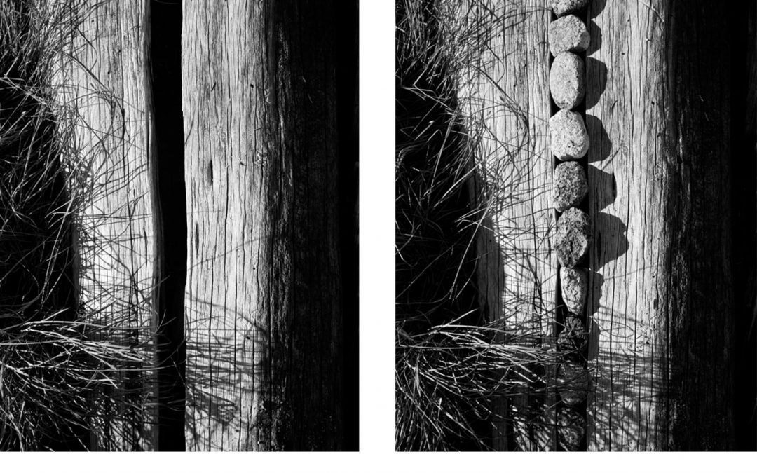 Rocks in Log 2007