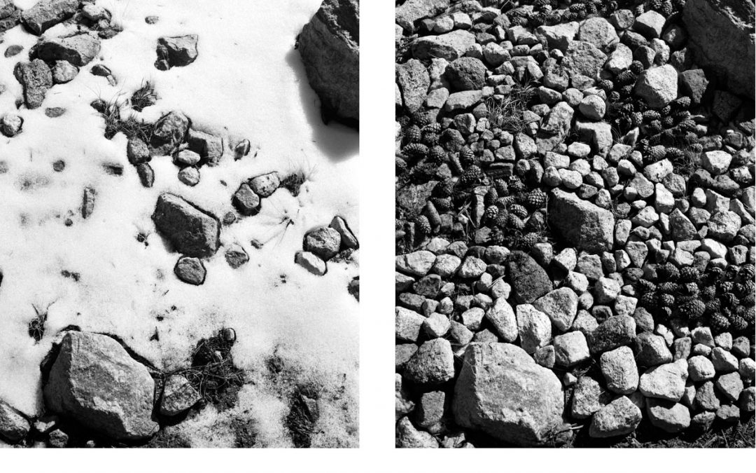 Snow Melt 2007