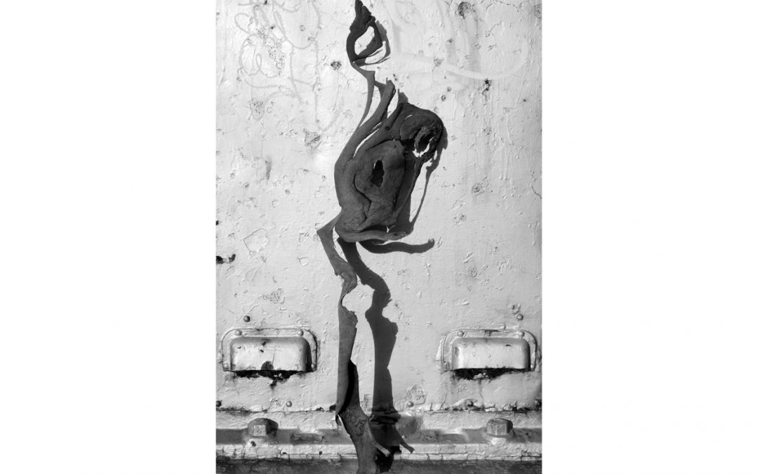 Strange Bird 2016