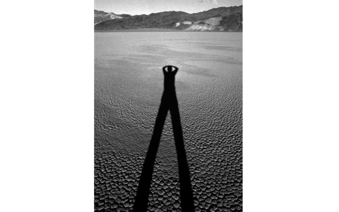 The Visitor 1997